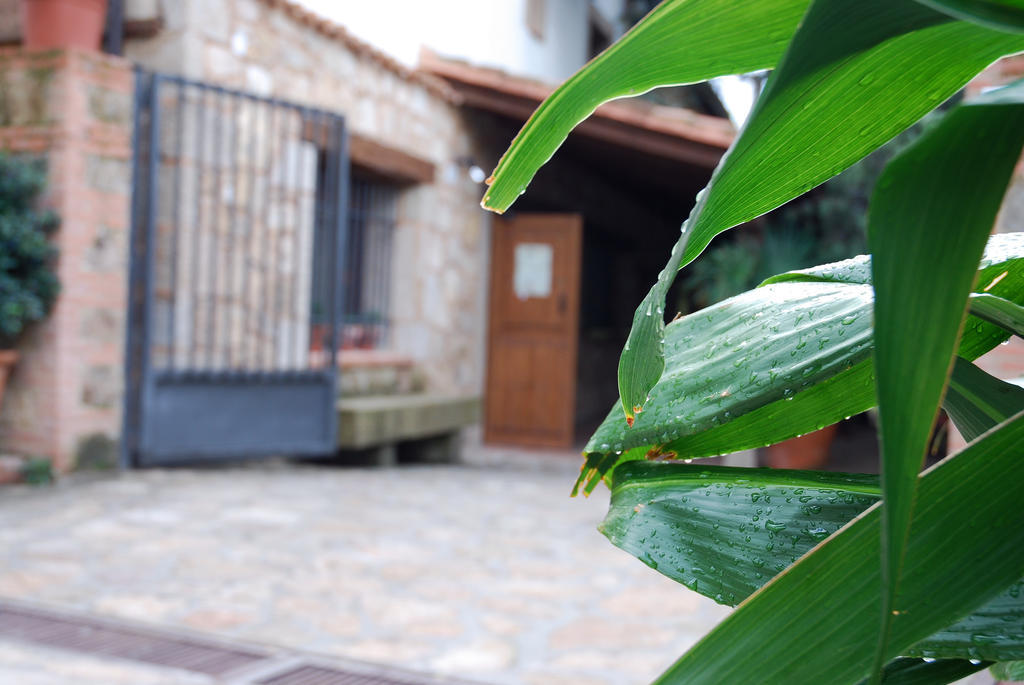 Hostal El Cardenillo Мадригал де ла Вера Екстериор снимка